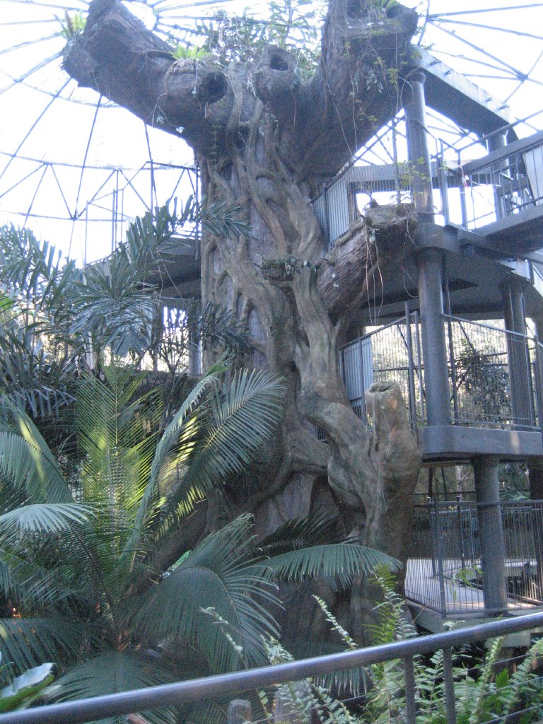 Green Cauldron interior