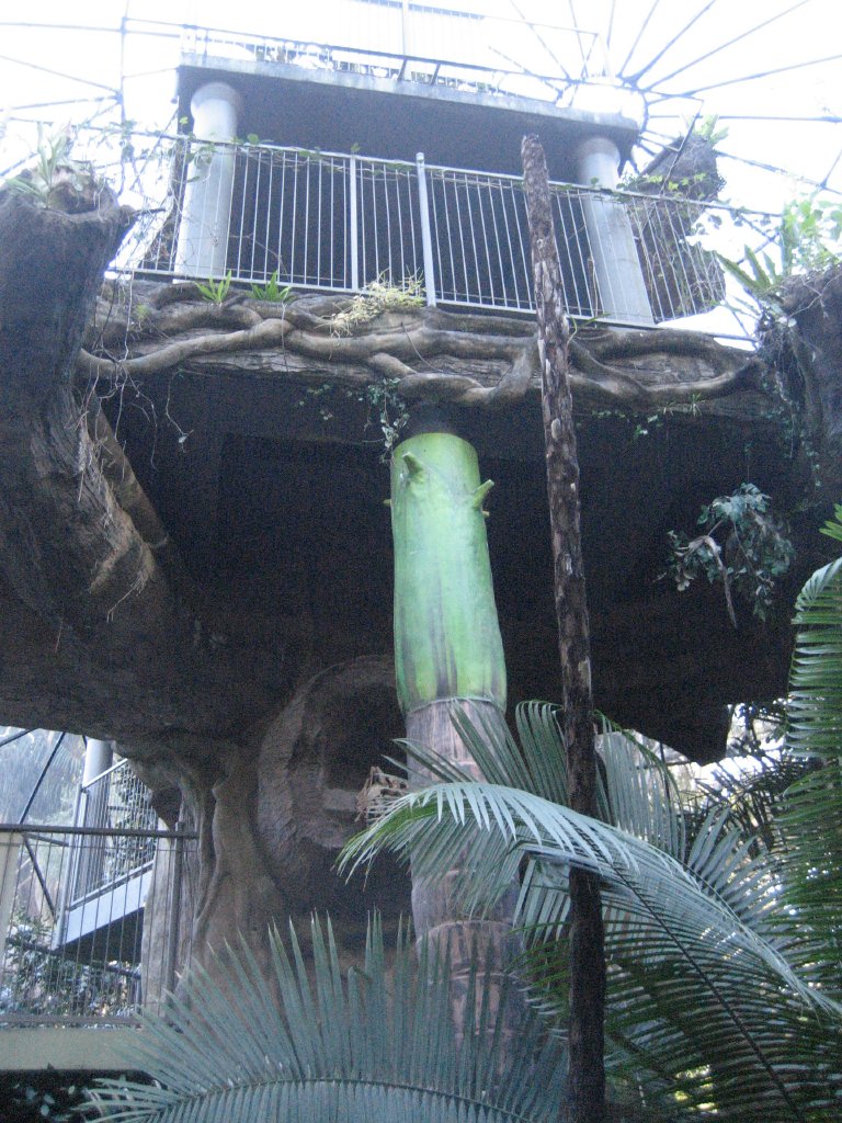 Green Cauldron interior