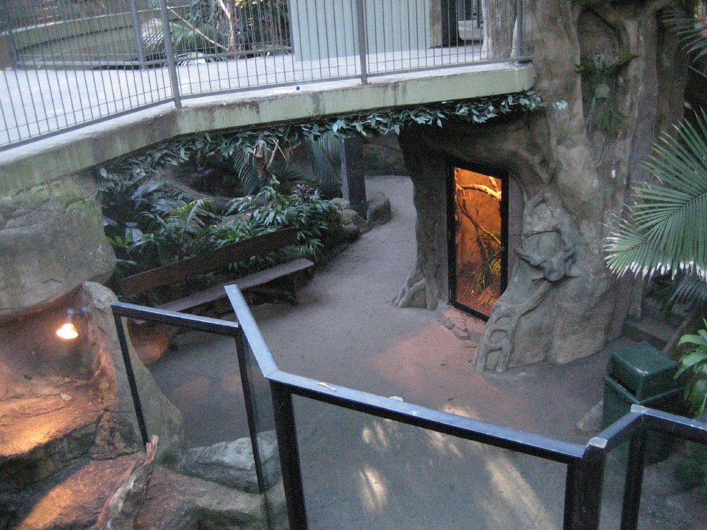 Green Cauldron interior