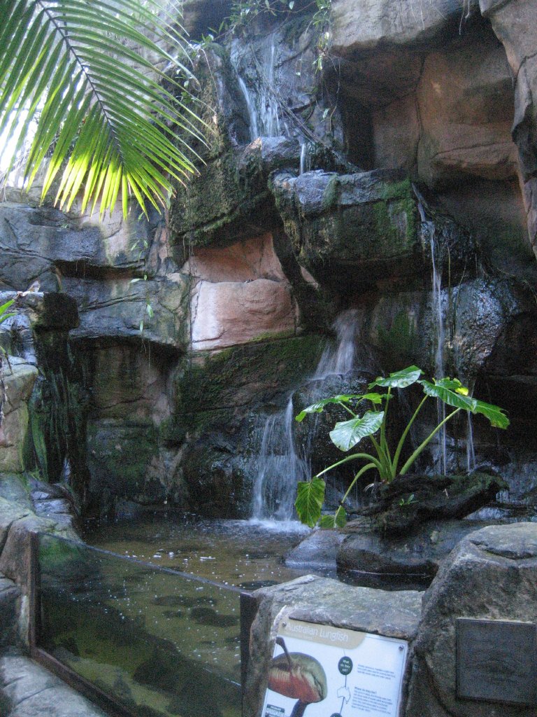 Green Cauldron interior