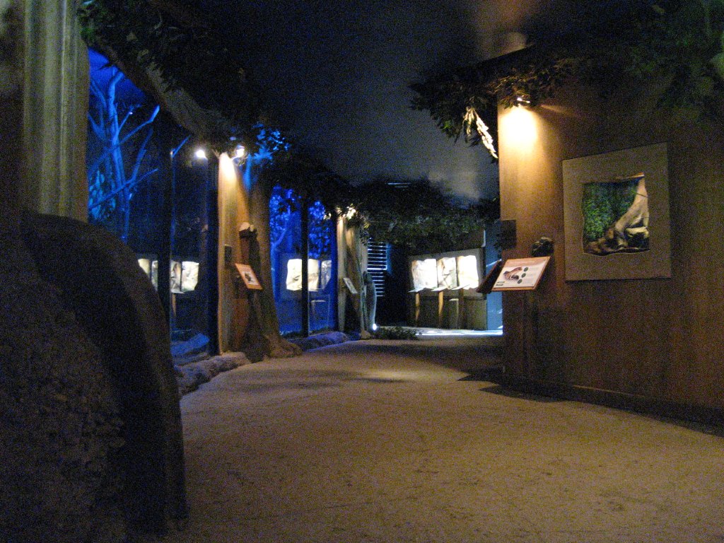 Green Cauldron interior