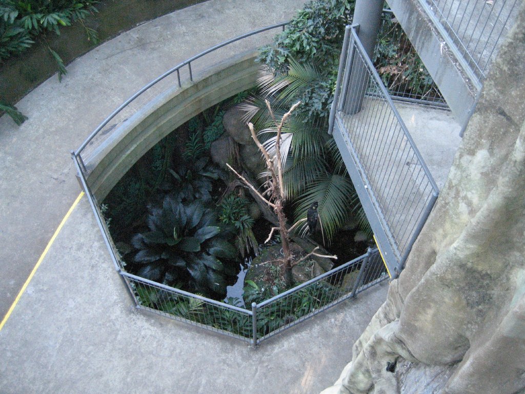 Green Cauldron interior