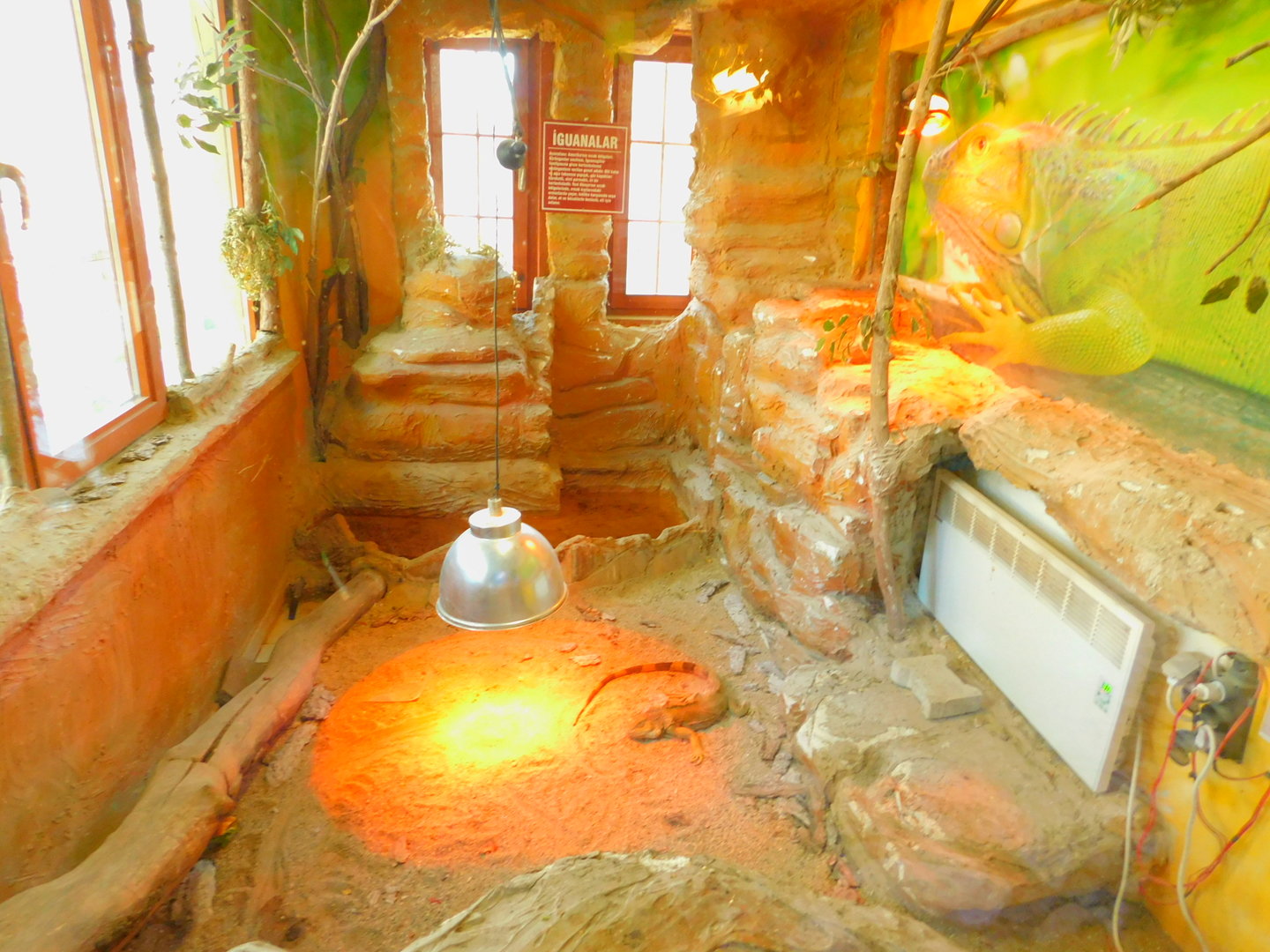 Green Iguana Enclosure at the Ankara Domestic Animal Park