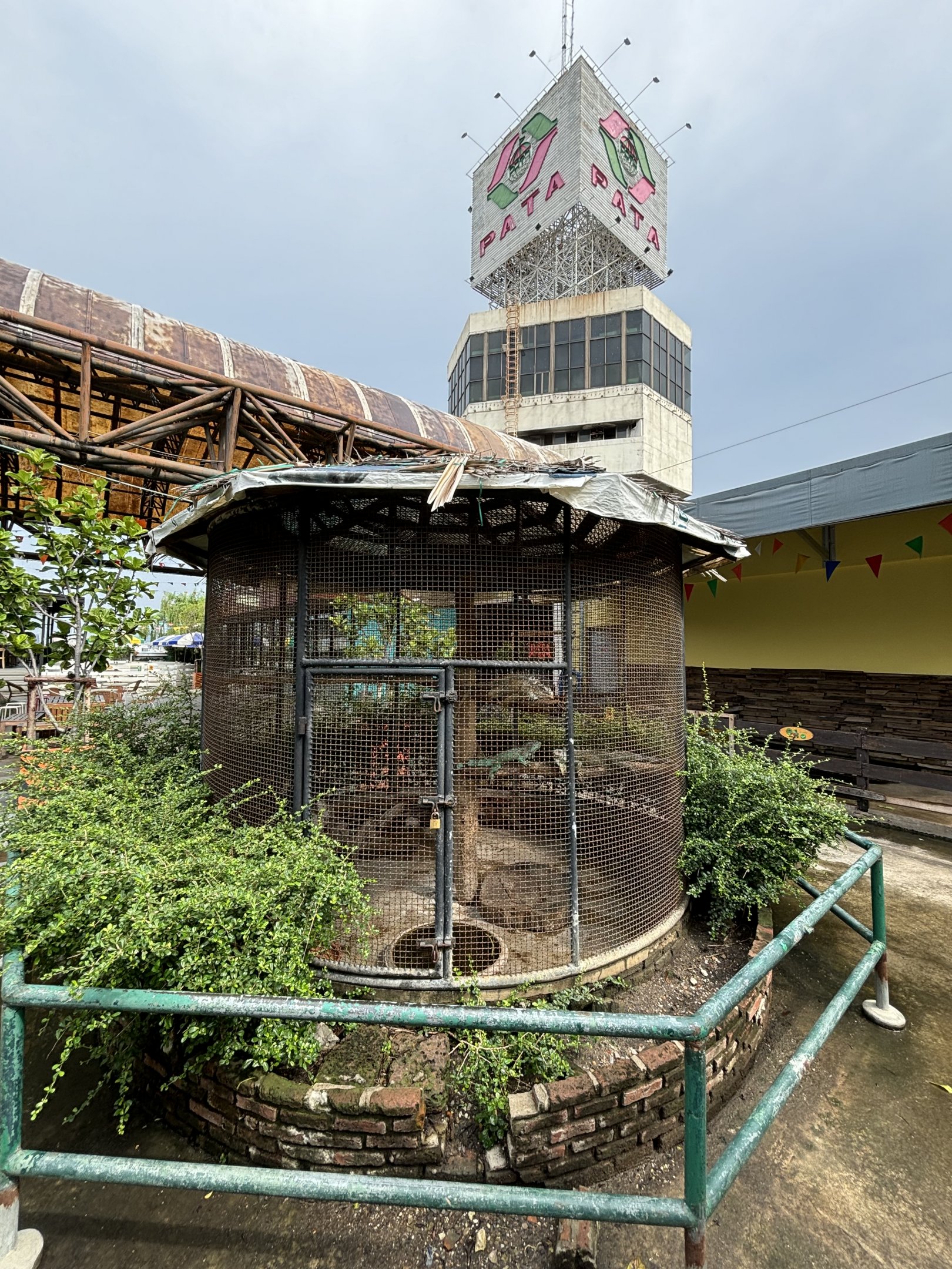 Green Iguana Exhibit + Tower Sign