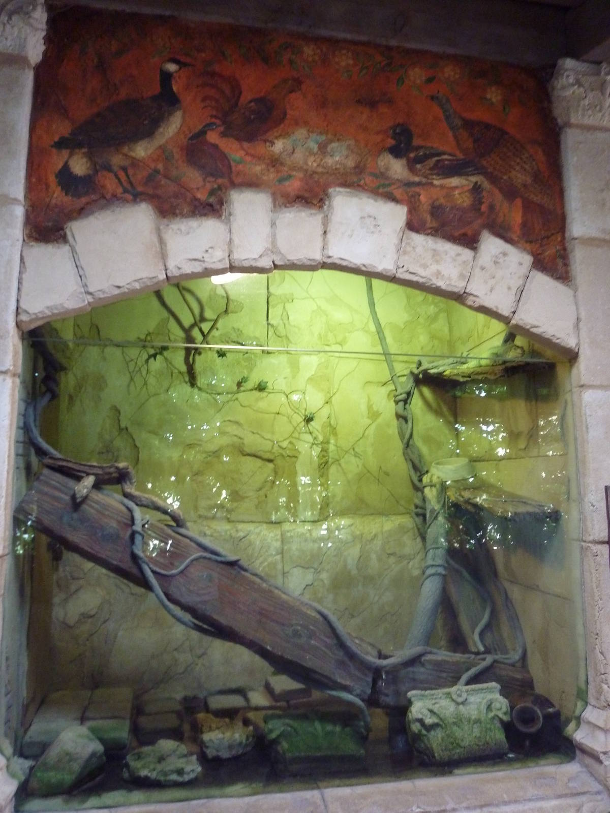 Green Iguana Exhibit