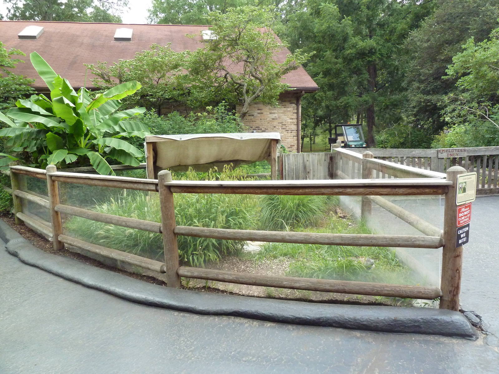 Green Iguana Exhibit