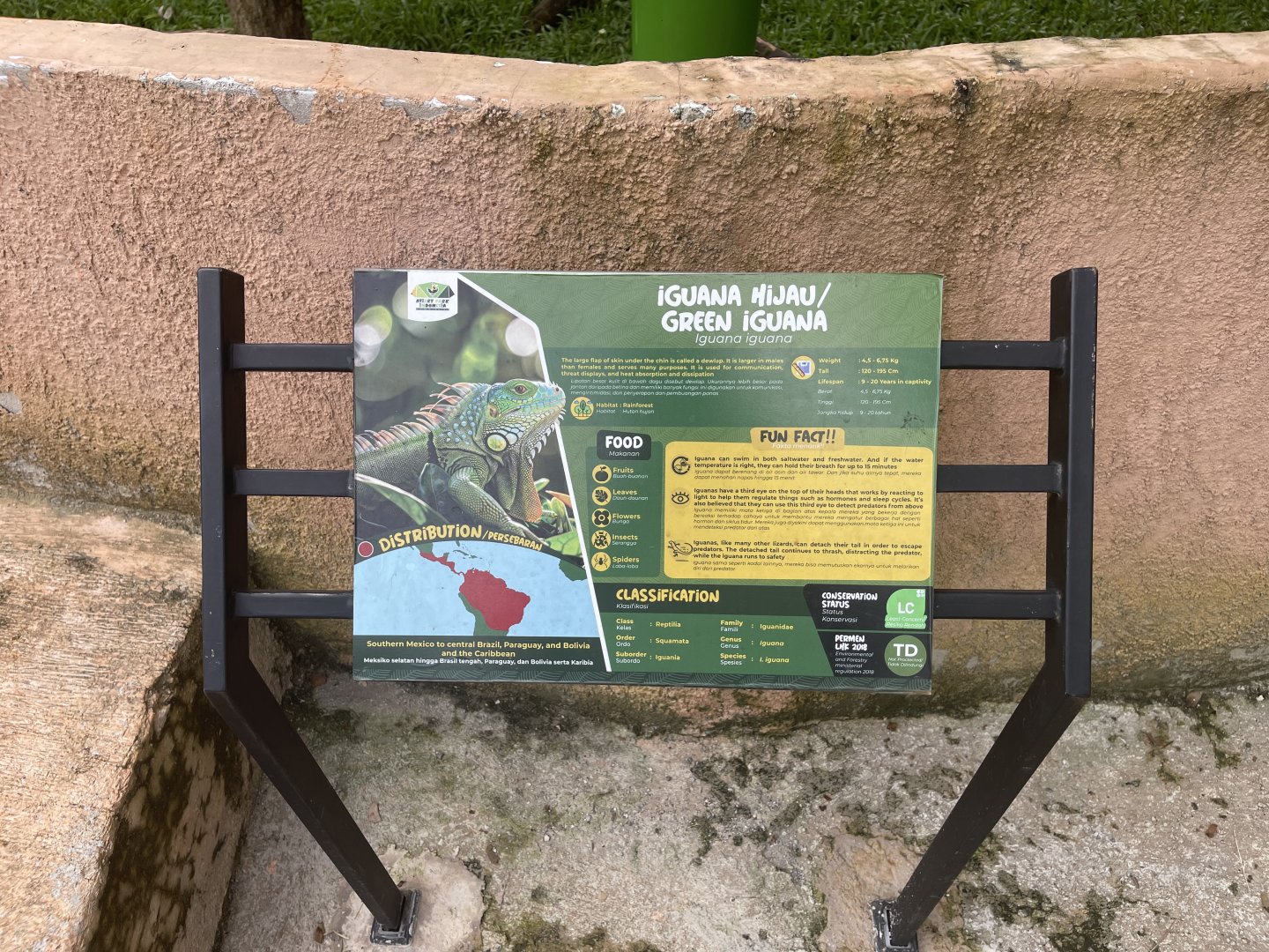 green iguana signage - aviary park
