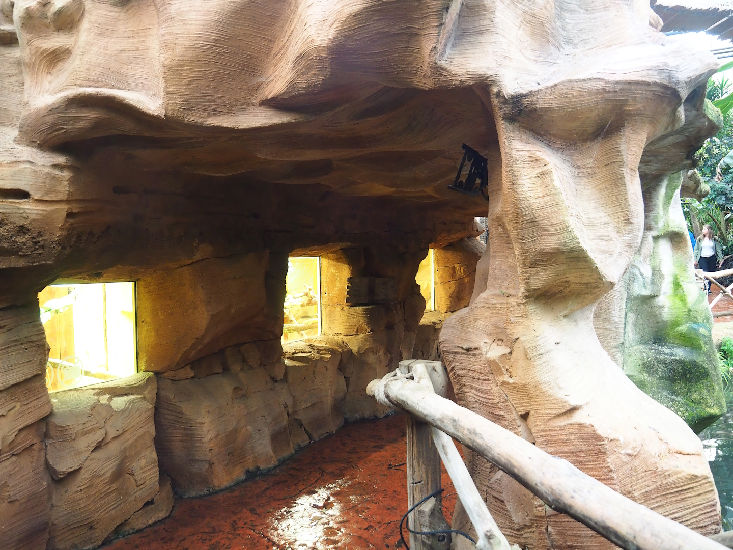 Green iguana terrarium viewing area, 2023-10-13