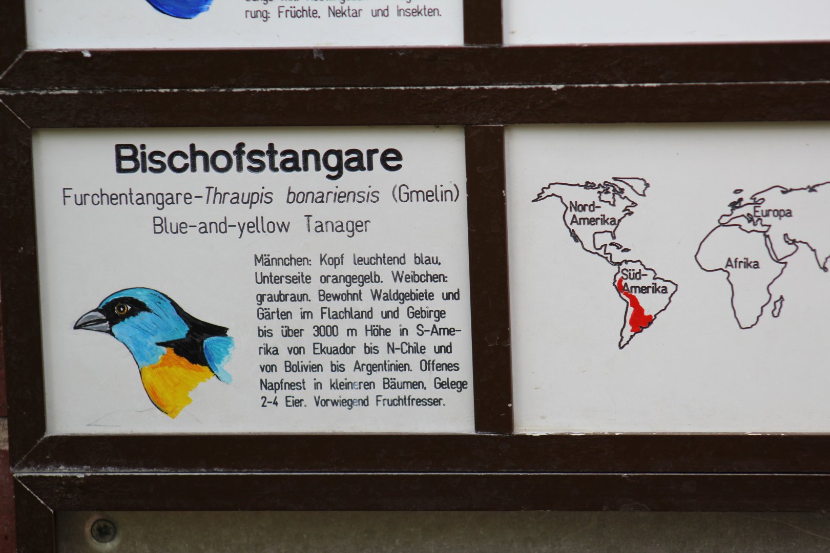 Green-Mantled Tanager Signage