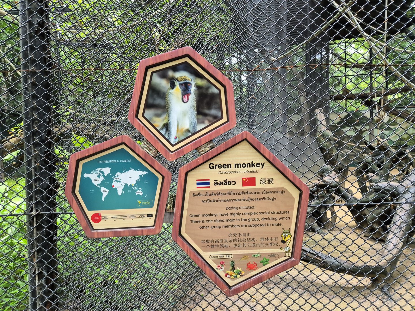 Green Monkey sign