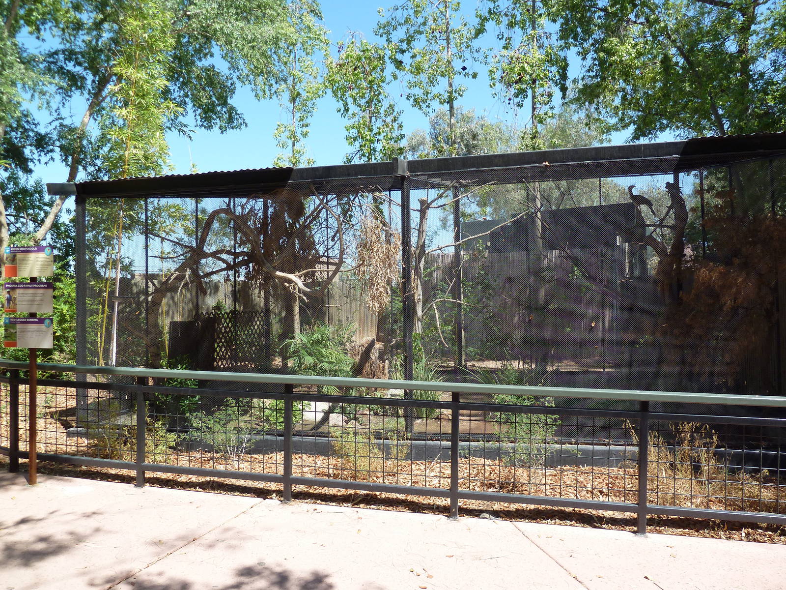 Green Oropendola/Red-Legged Seriema Exhibit