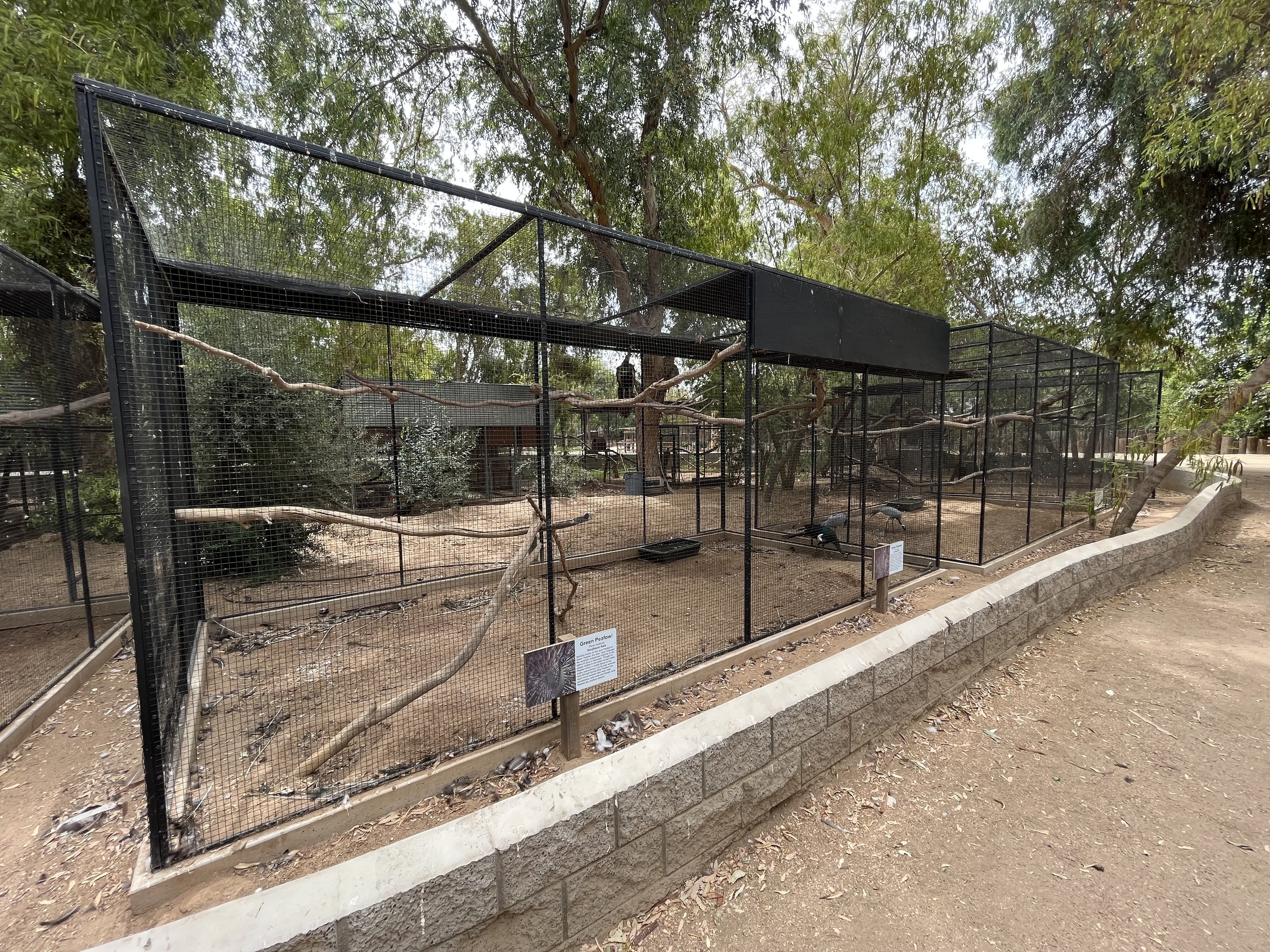 Green Peafowl Aviary