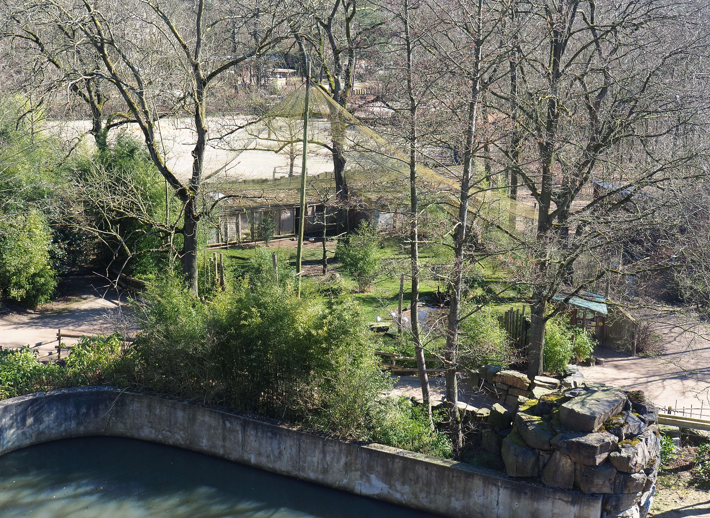 Green peafowl, Oriental white stork, Blue eared pheasant and Nicobar pigeon aviary seen from the tree-top walk, 2022-03-08