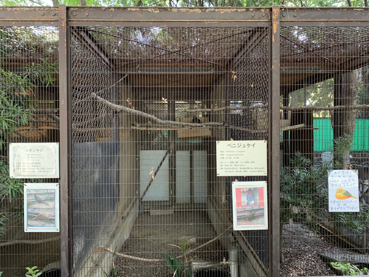 Green Pheasant Enclosure (Himeji City Zoo)