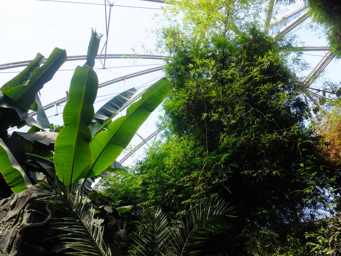 Green Pyramid (South-east Asia house)