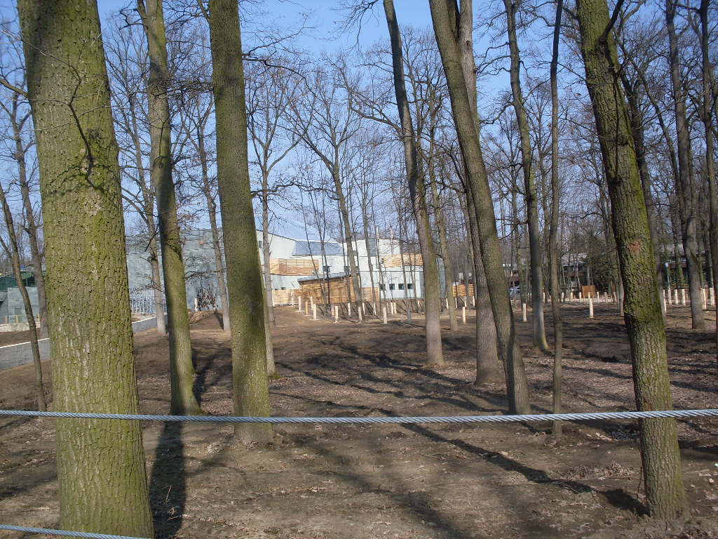 Green Pyramid - under construction