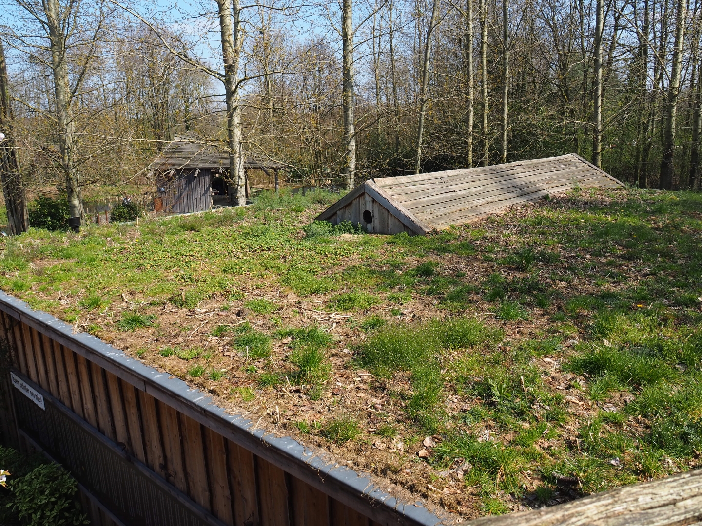 Green roof on the tapir and terrarium building, 2019-03-30