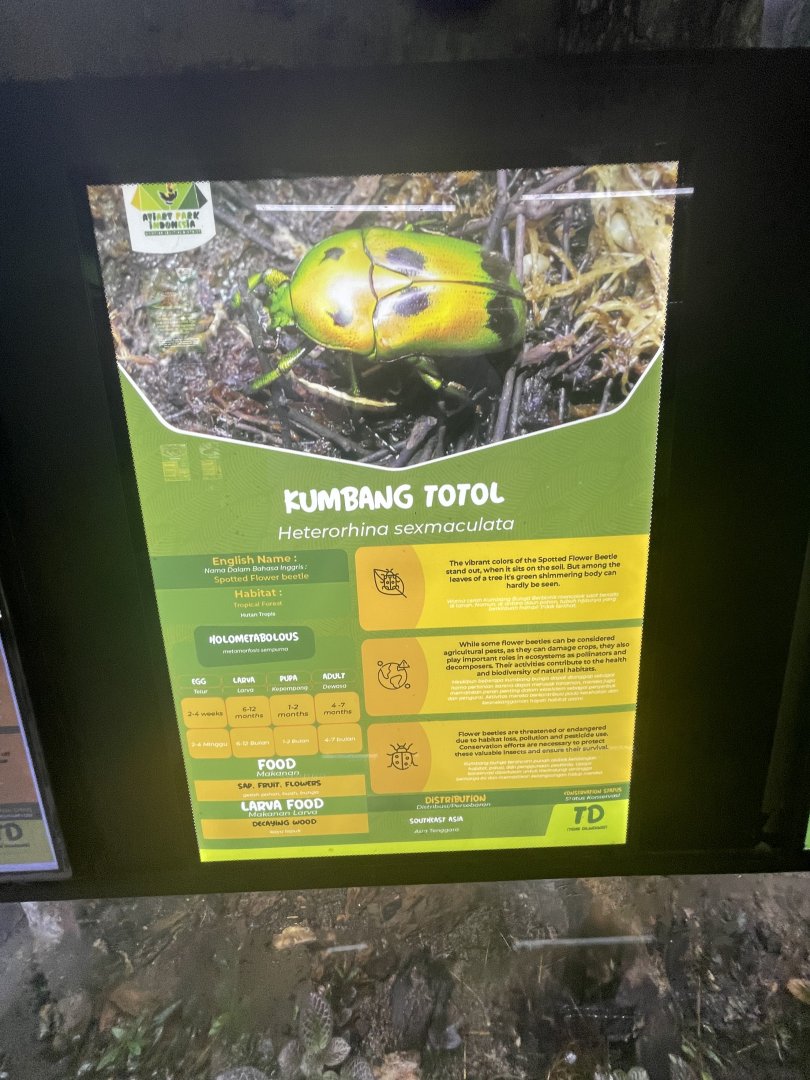 green spotted flower beetle signage - aviary park