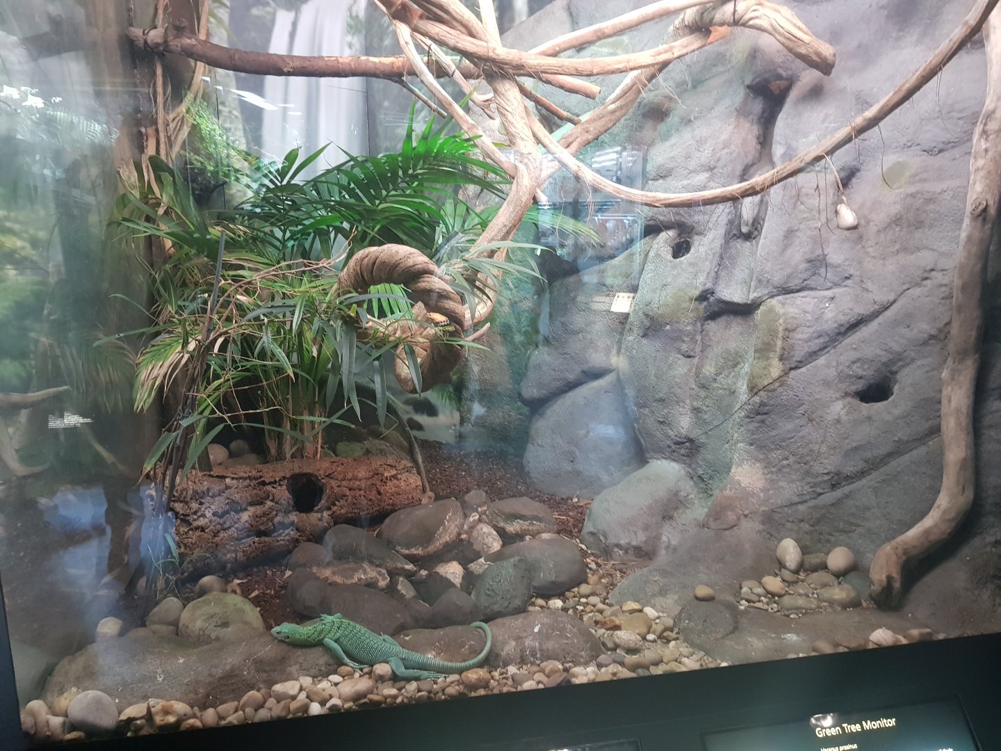 Green Tree Monitor Enclosure