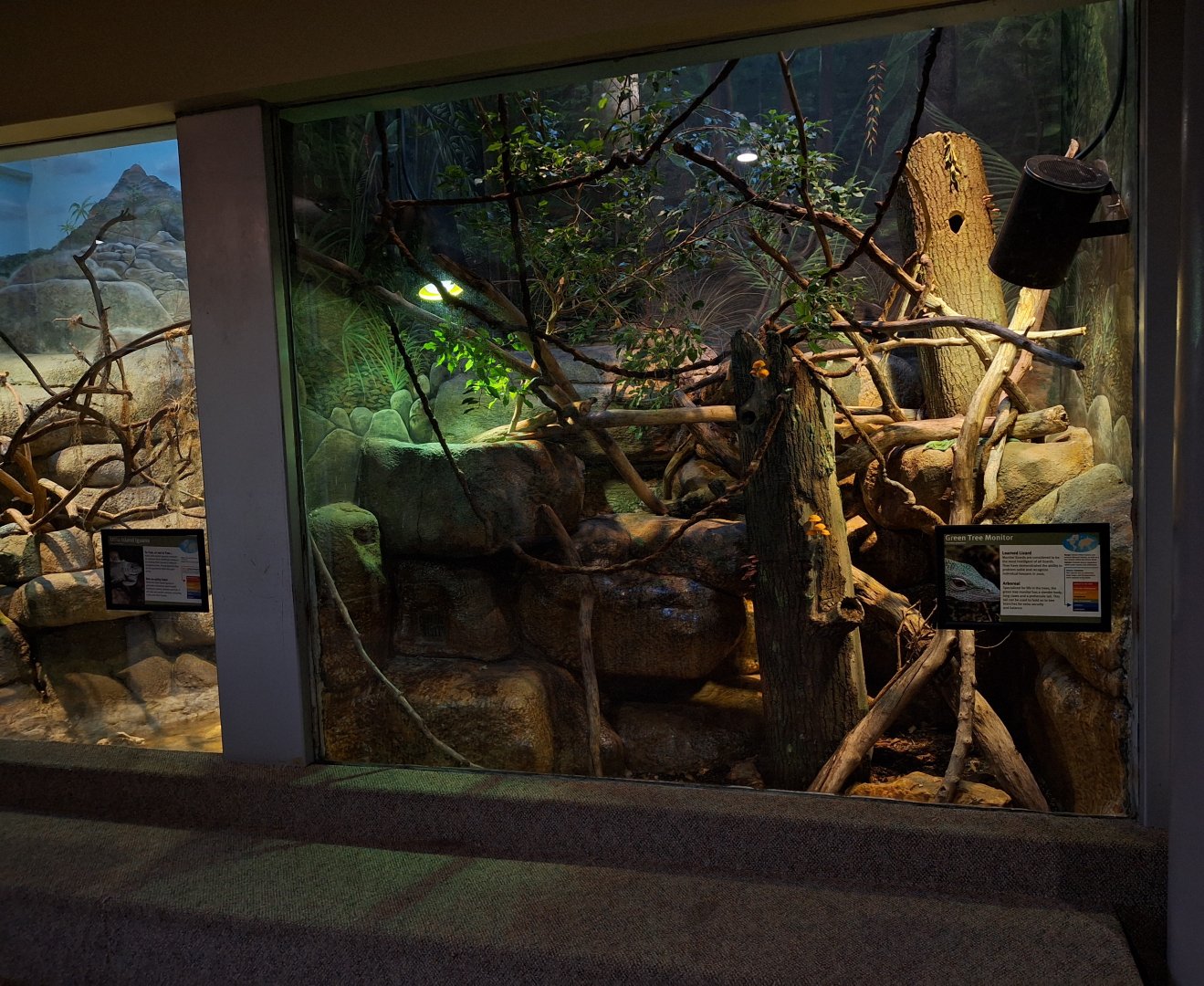 Green tree monitor enclosure