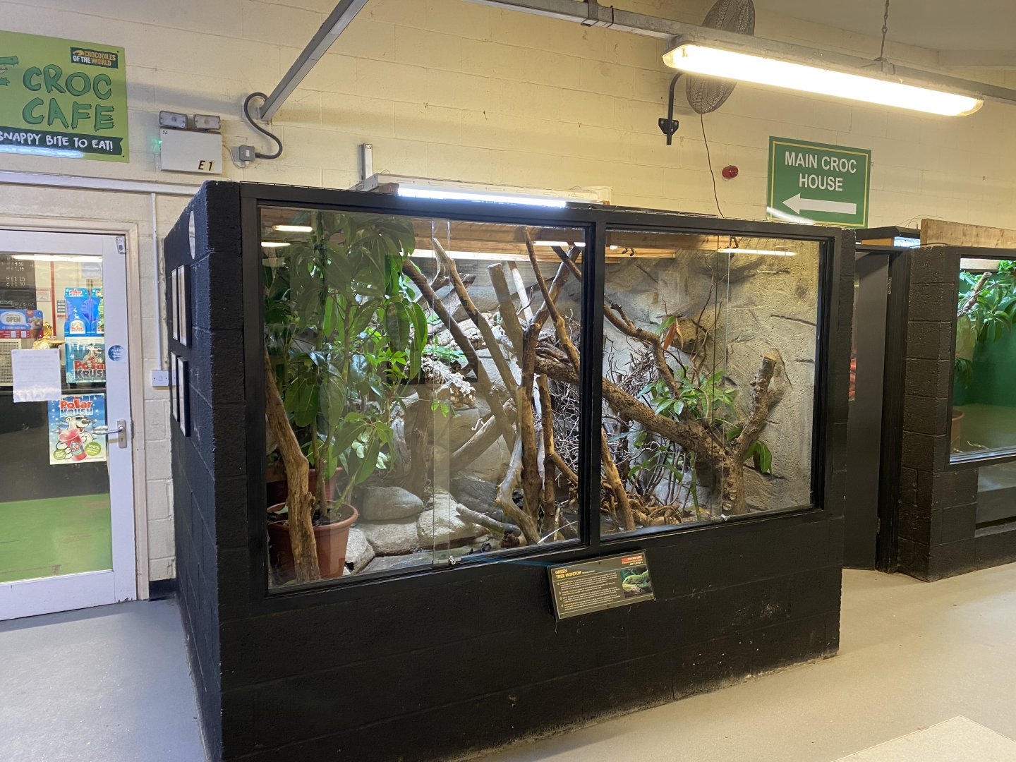 Green tree monitor exhibit 040124