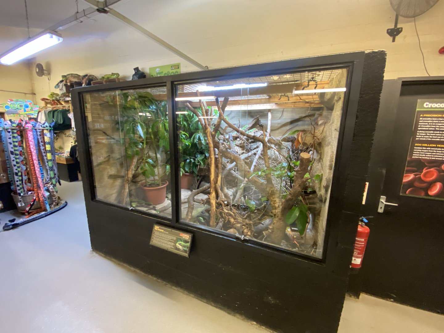 Green tree monitor exhibit 040124