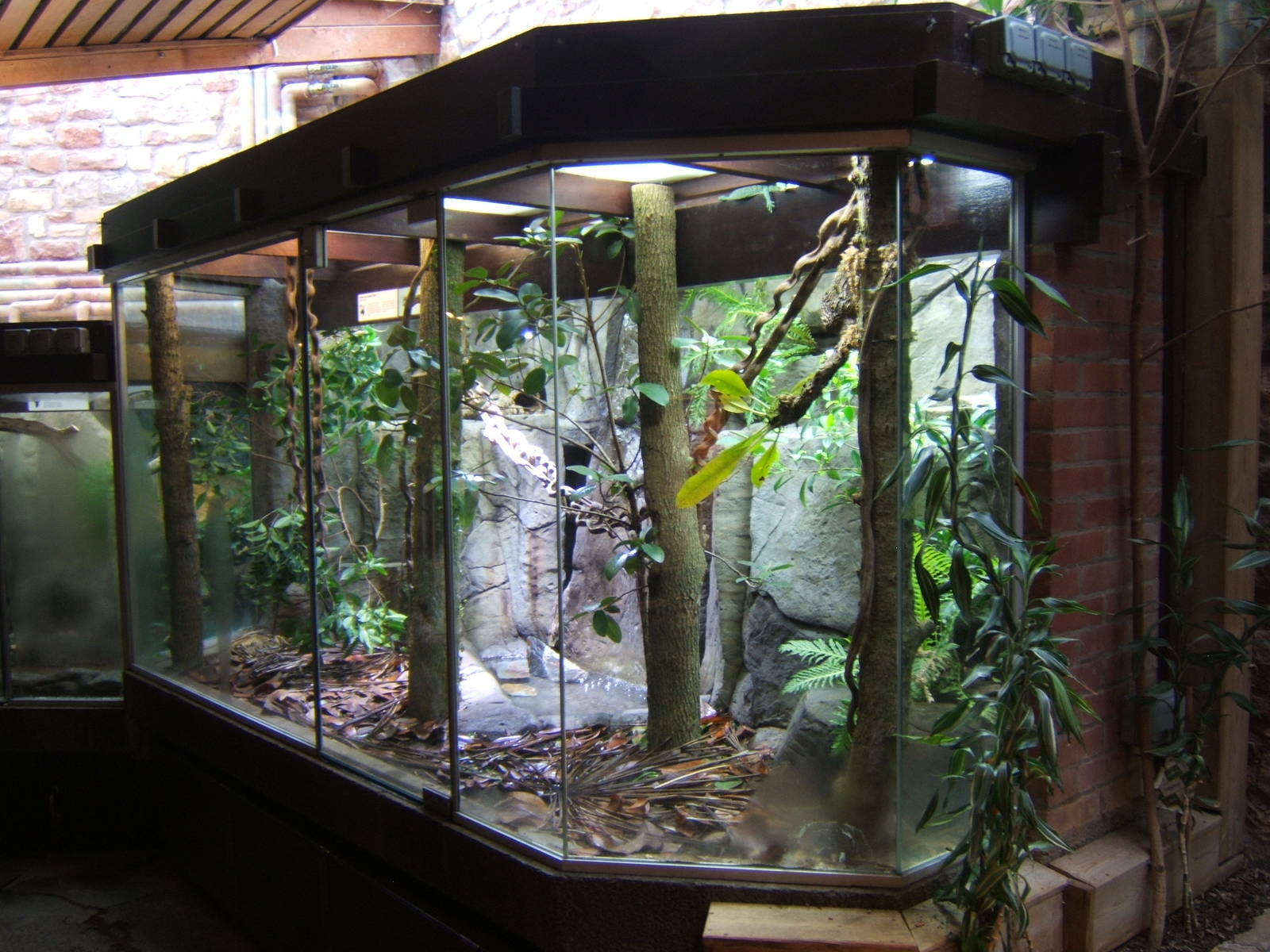 Green Tree Monitor exhibit