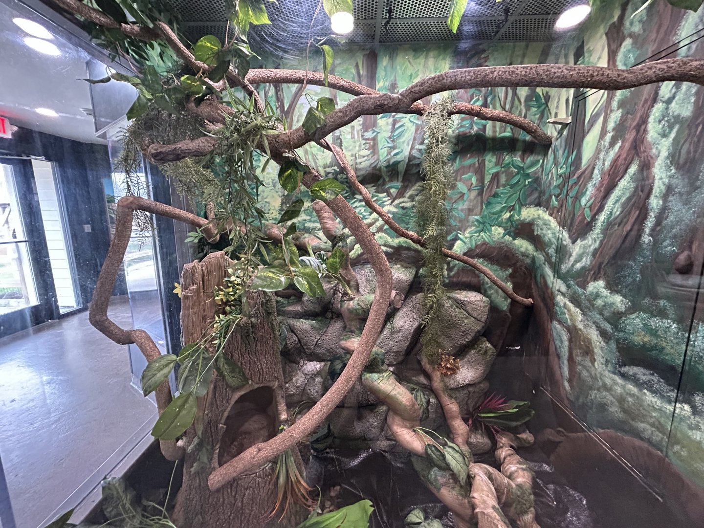Green Tree Monitor Exhibit