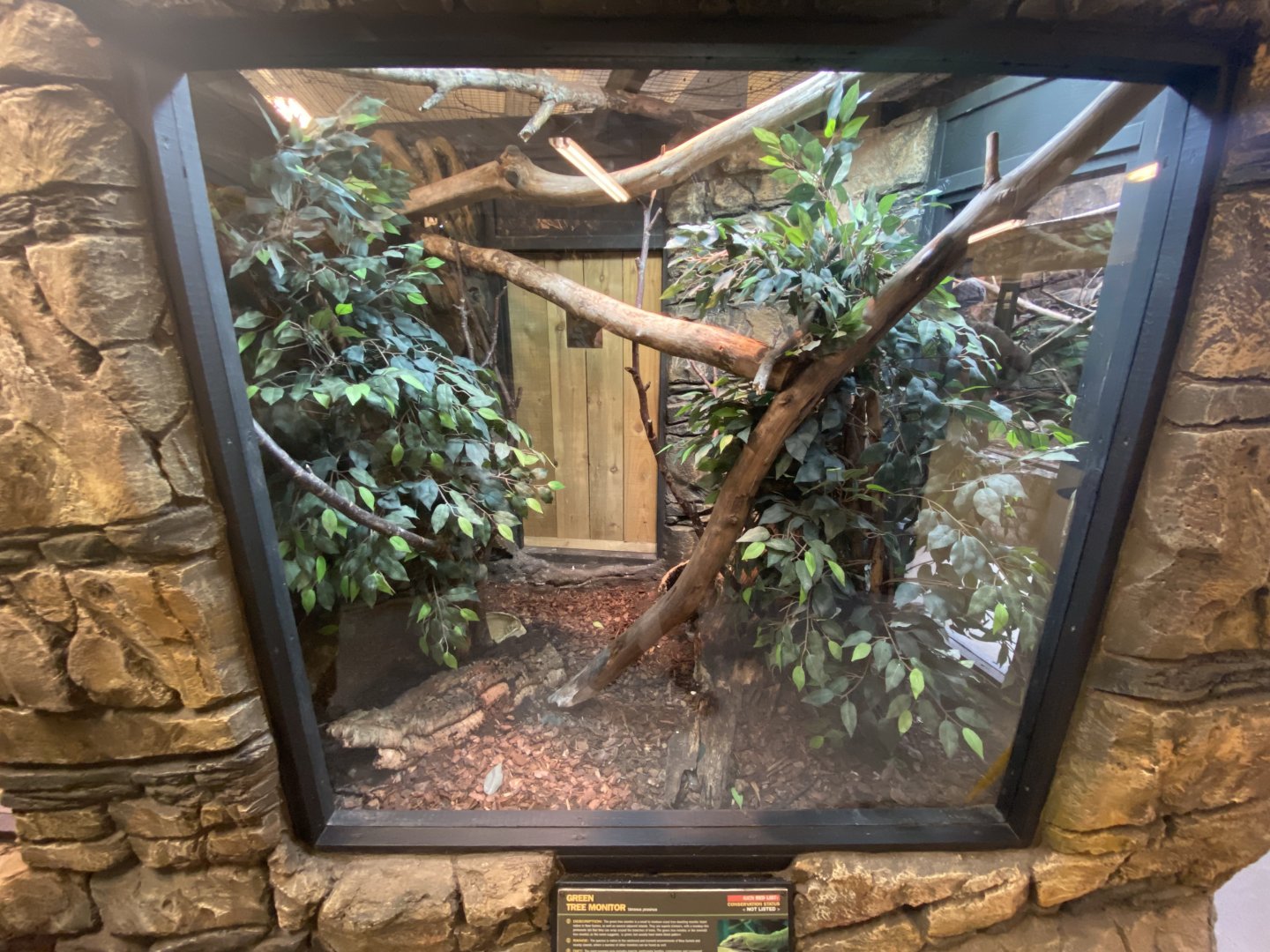 Green tree monitor exhibit