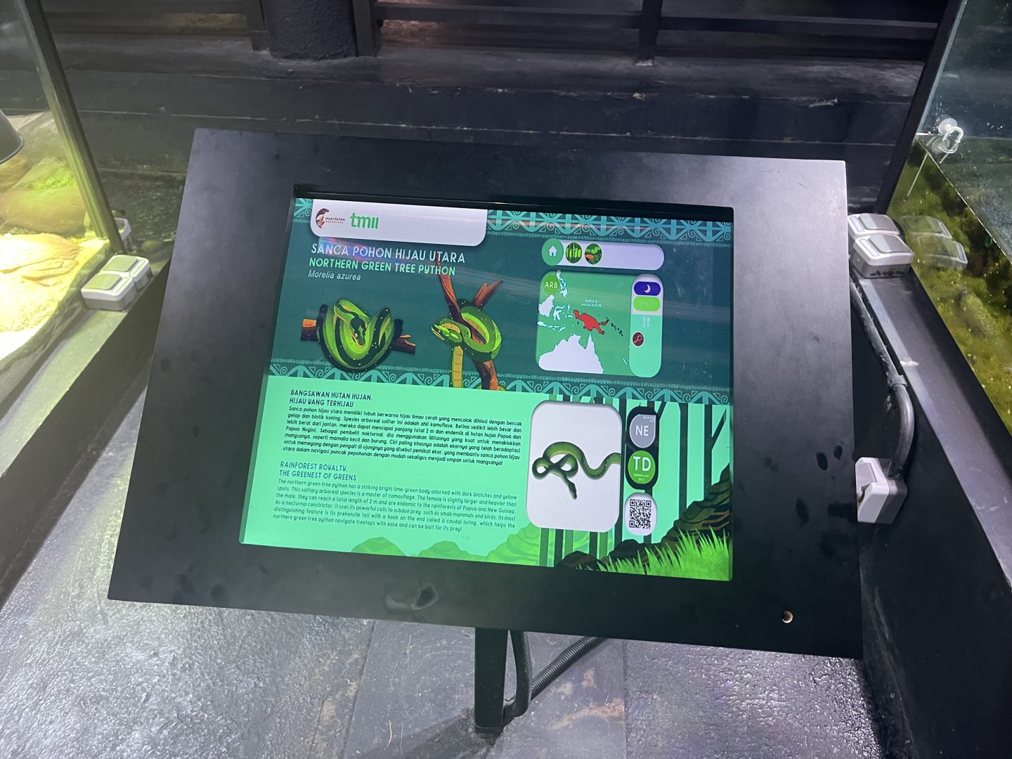 green tree phyton signage - museum komodo