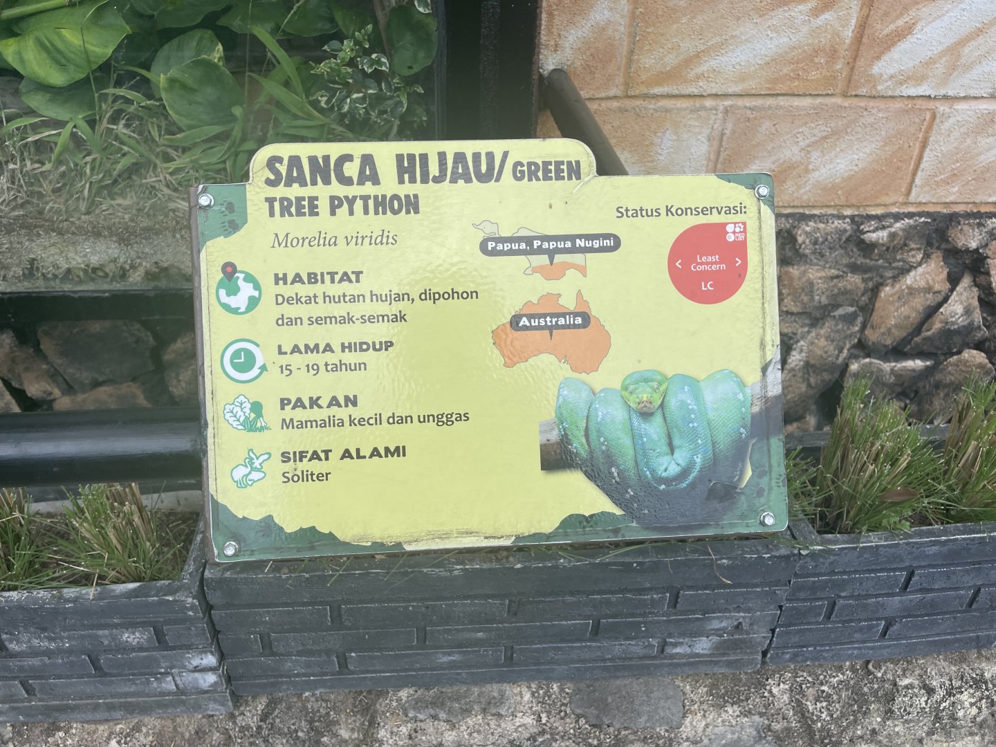 green tree phyton signage