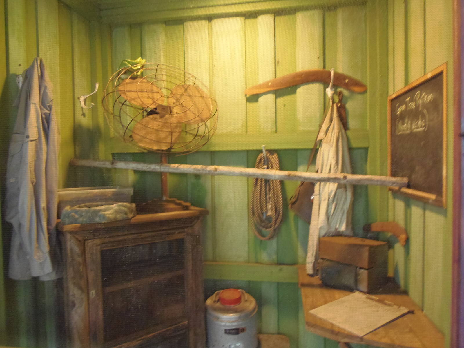 Green Tree Python Exhibit