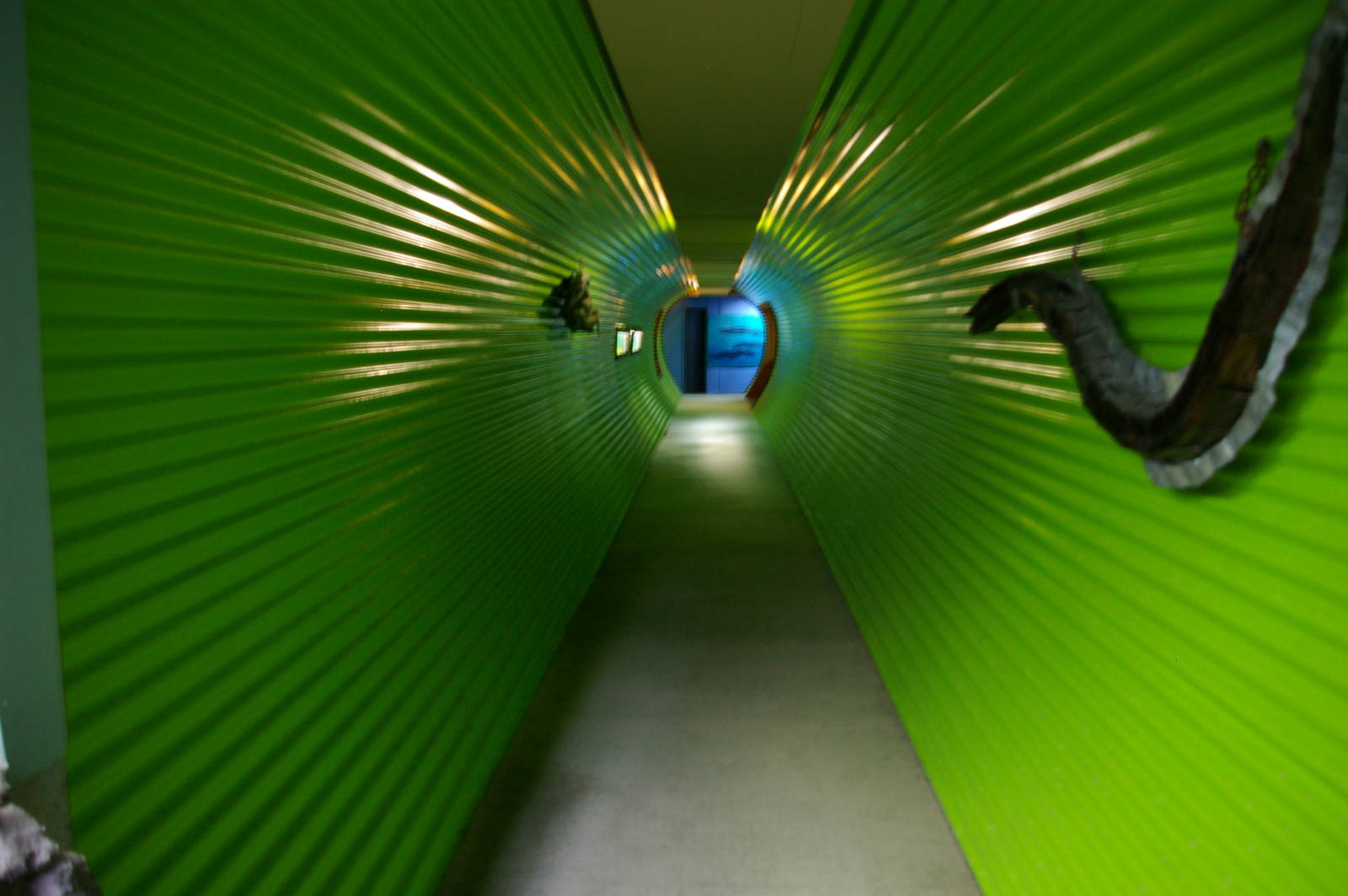 Green Tunnel leading into the aquarium