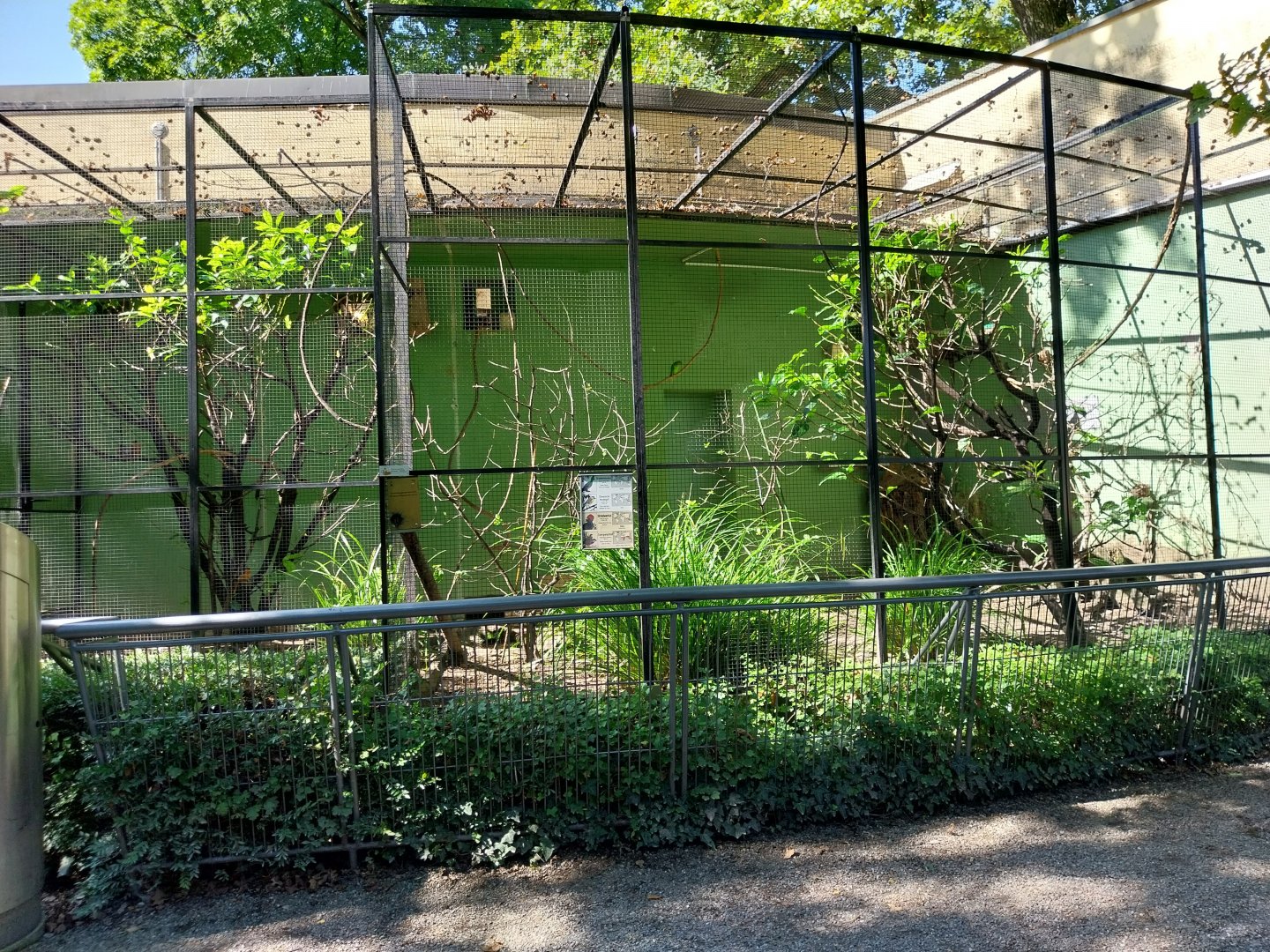 Green turaco mixed aviary