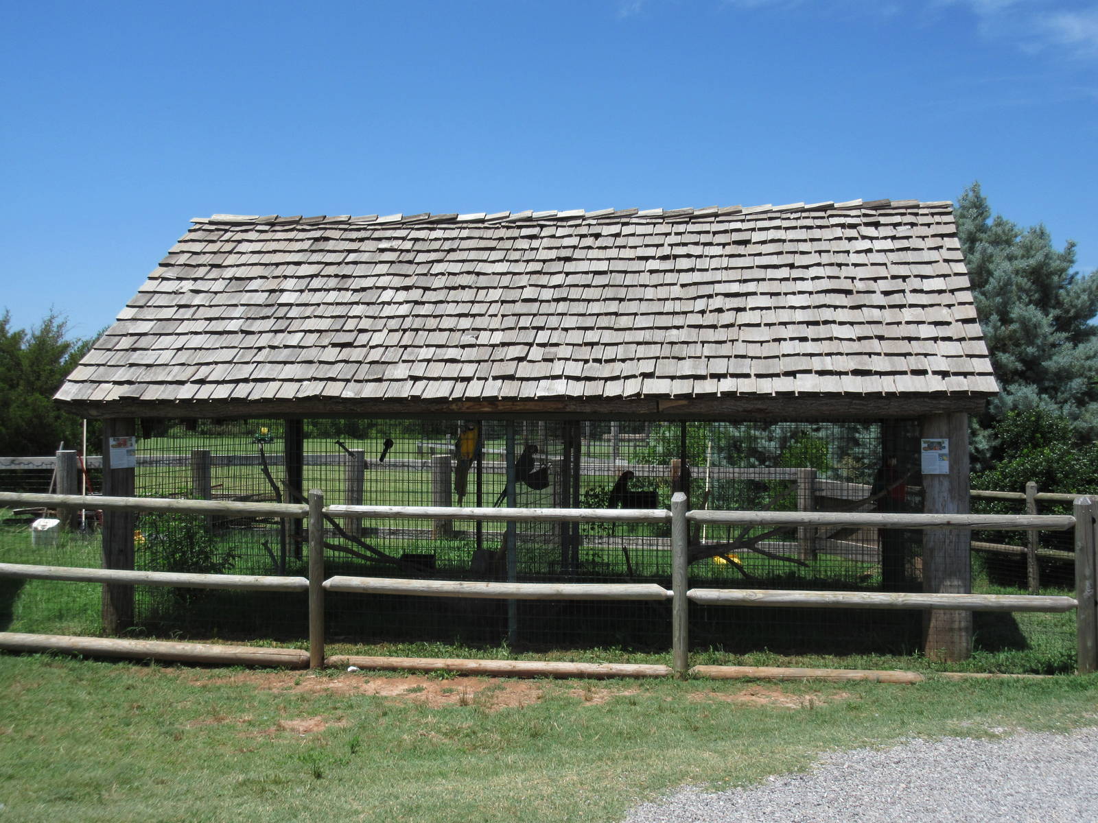 Green Wing Macaw + Blue + Gold Macaw Exhibits