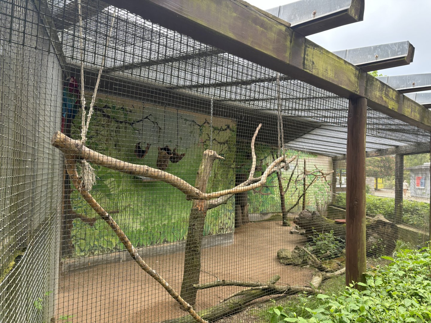 Green-wing Macaw Enclosure at Zoologischer Garten Hof