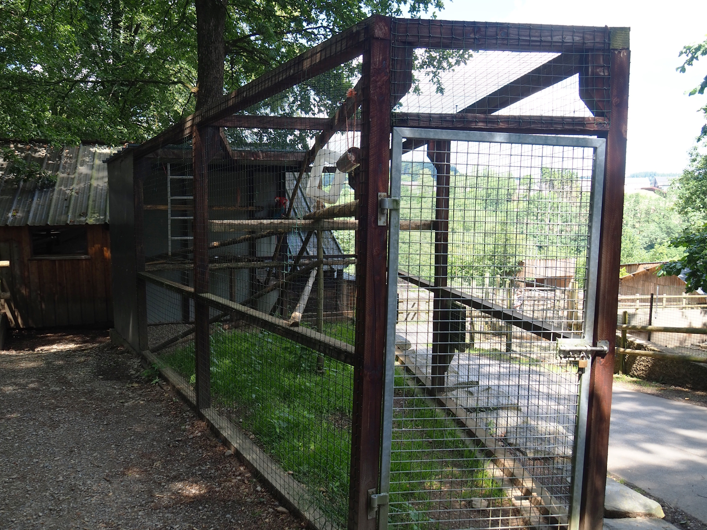 Green-winged macaw and Scarlet macaw aviary, 2023-06-24