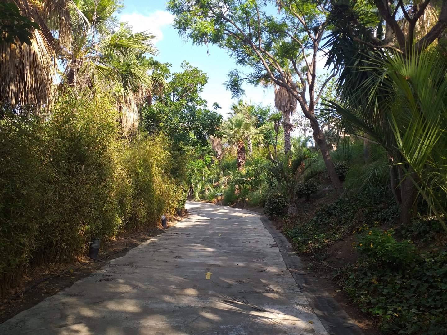 Green-winged macaw area -TerraNatura Benidorm (2021)