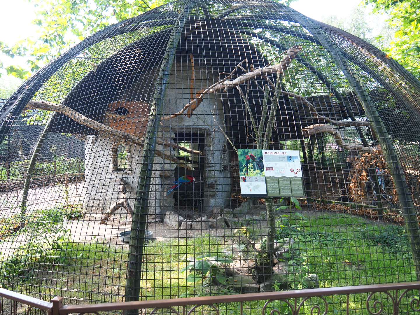 Green-winged macaw aviary, 2019-08-04
