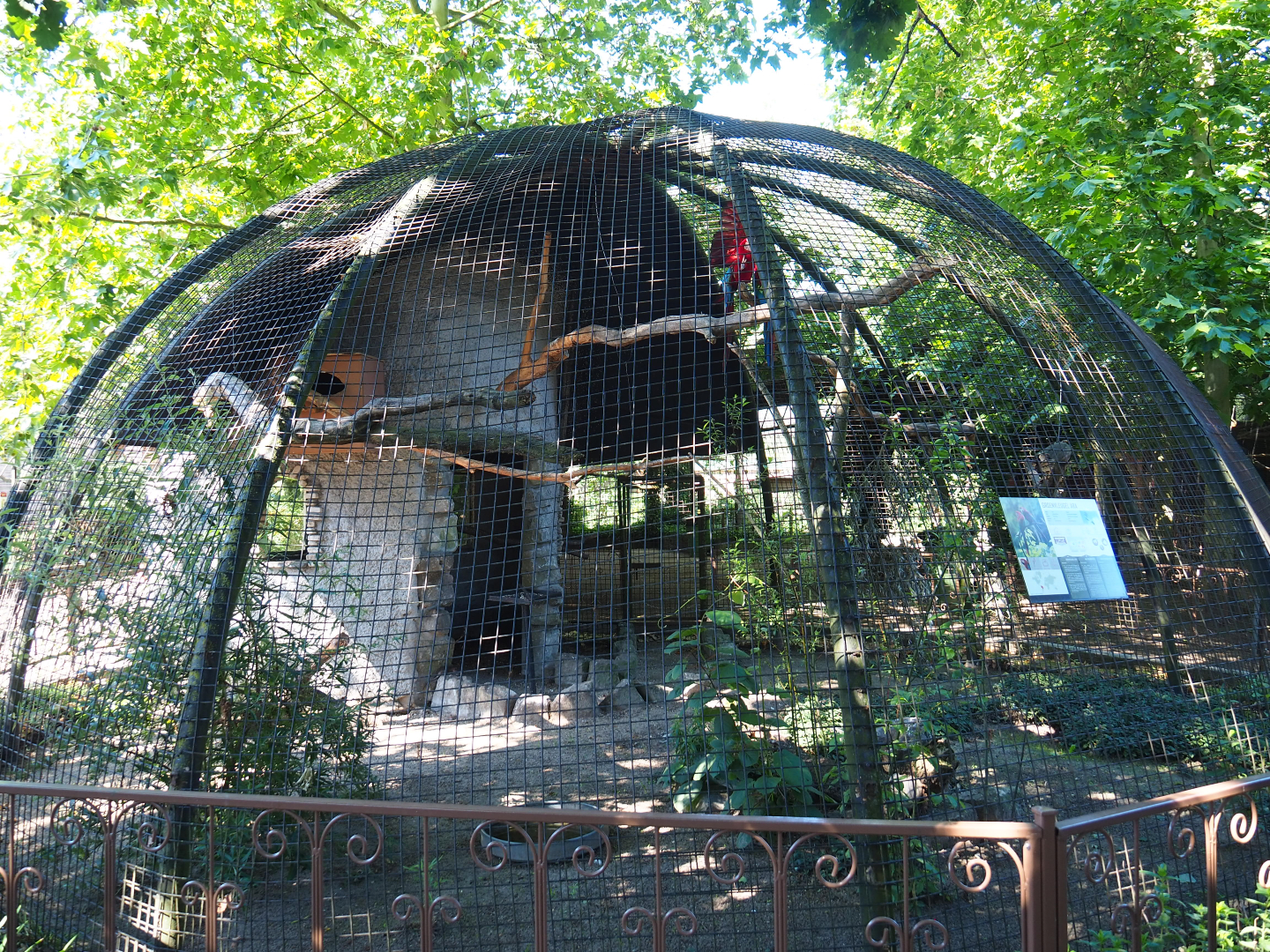 Green-winged macaw aviary, 2020-06-20