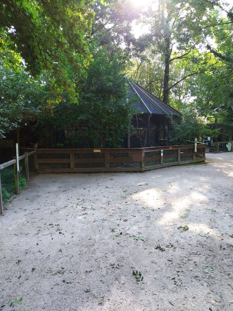 Green-winged macaw aviary