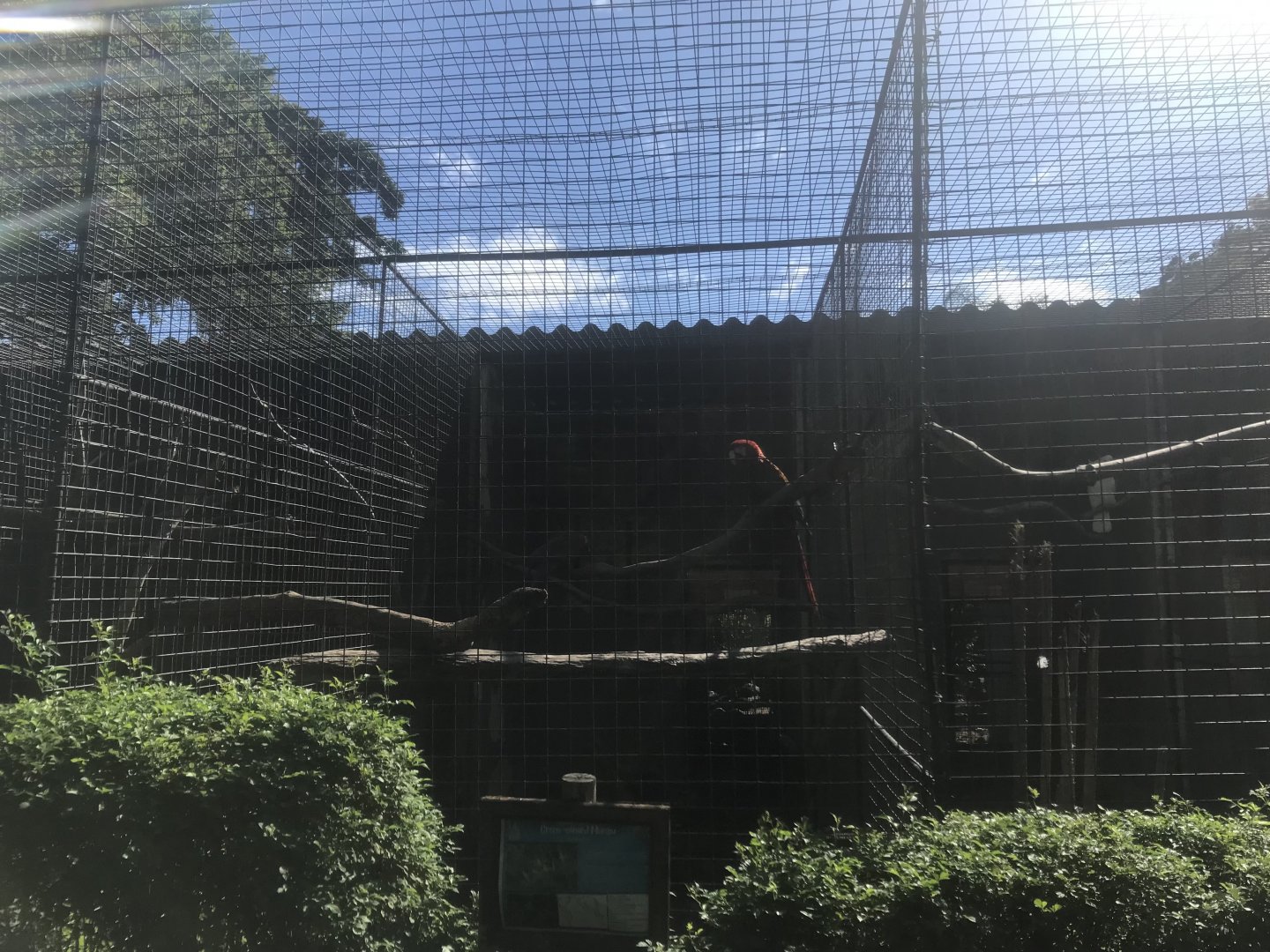 Green-Winged Macaw Cage
