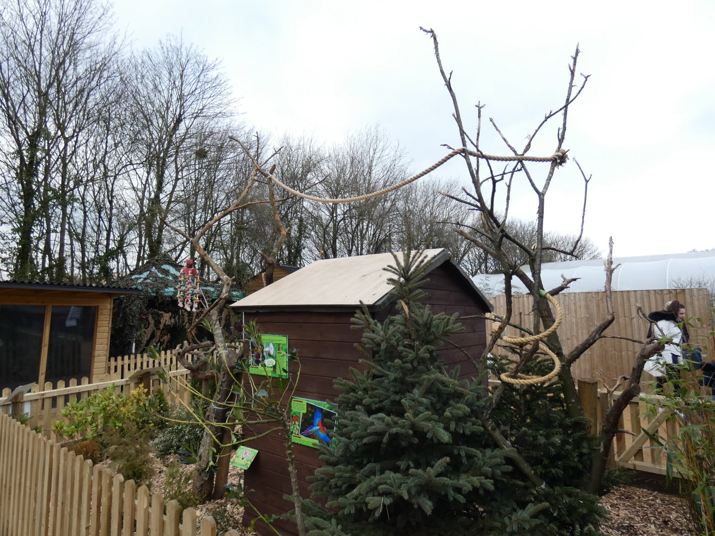Green-winged Macaw enclosure