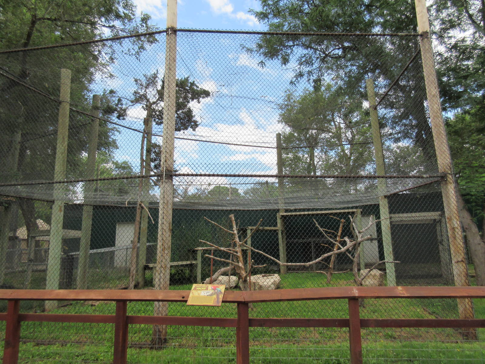 Green-Winged Macaw Exhibit