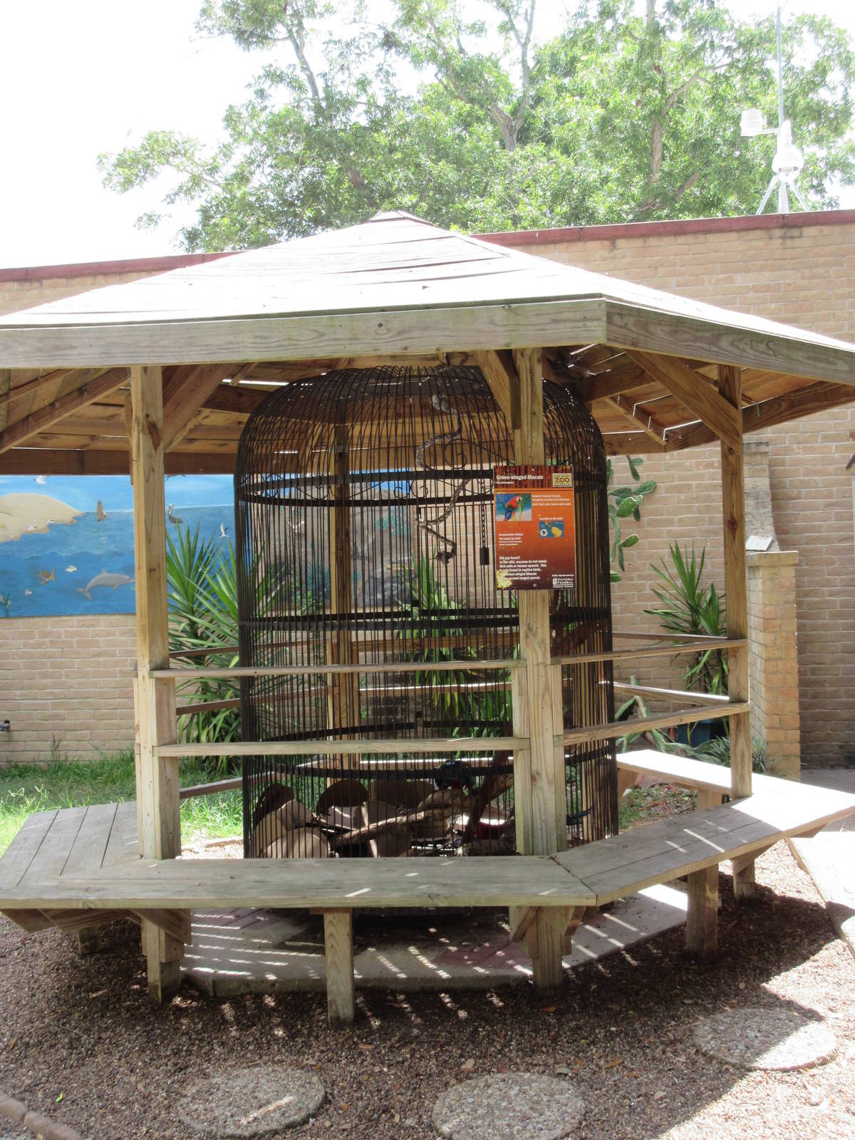 Green-Winged Macaw Exhibit