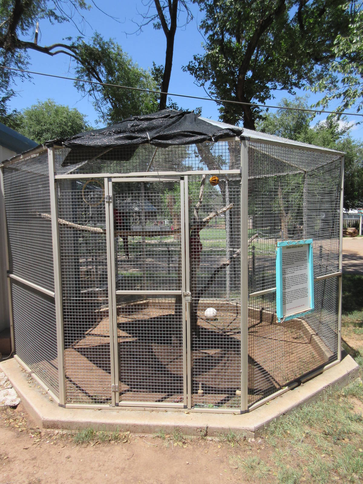 Green-Winged Macaw Exhibit