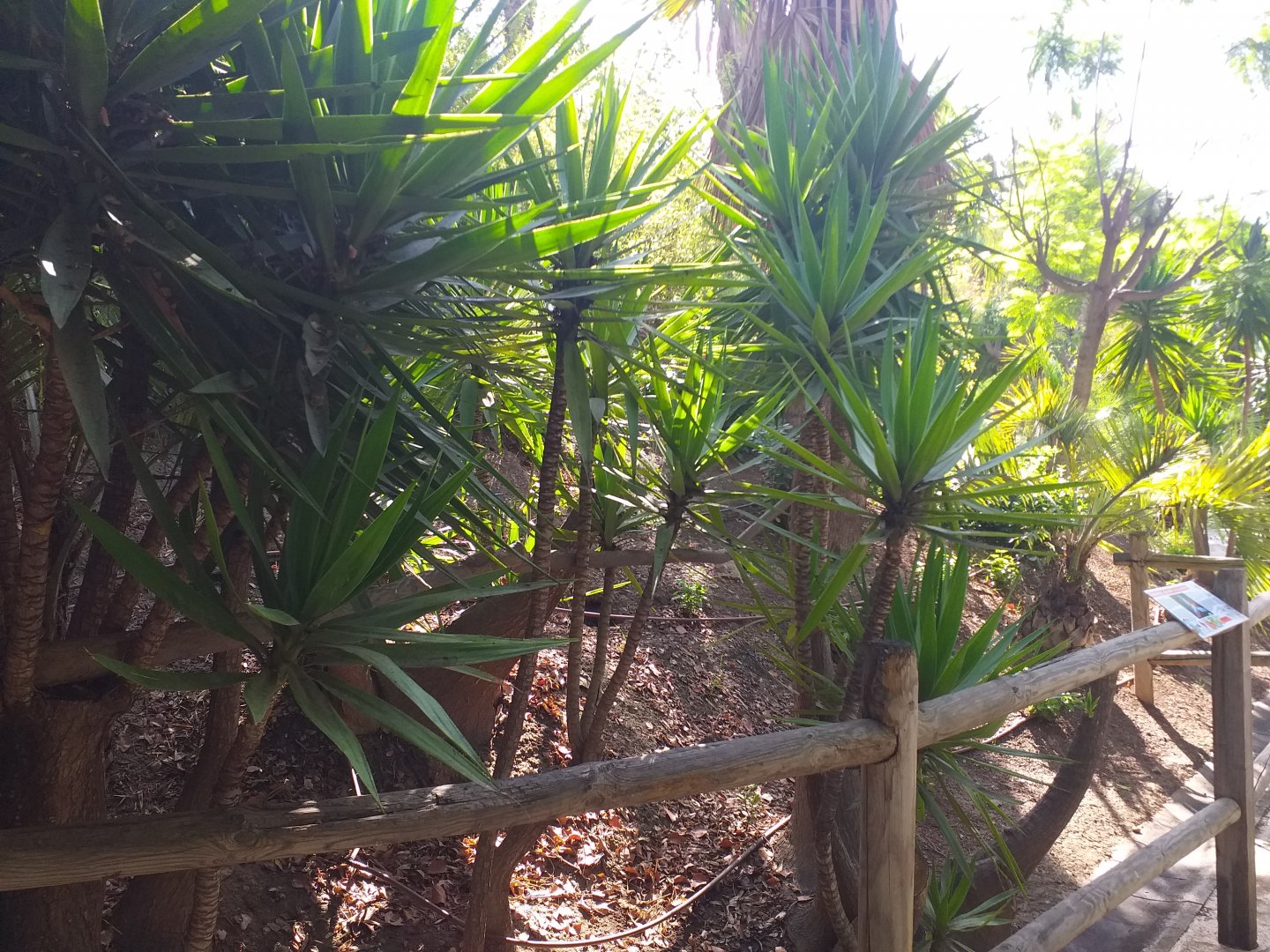 Green-winged macaw perch -TerraNatura Benidorm (2021)