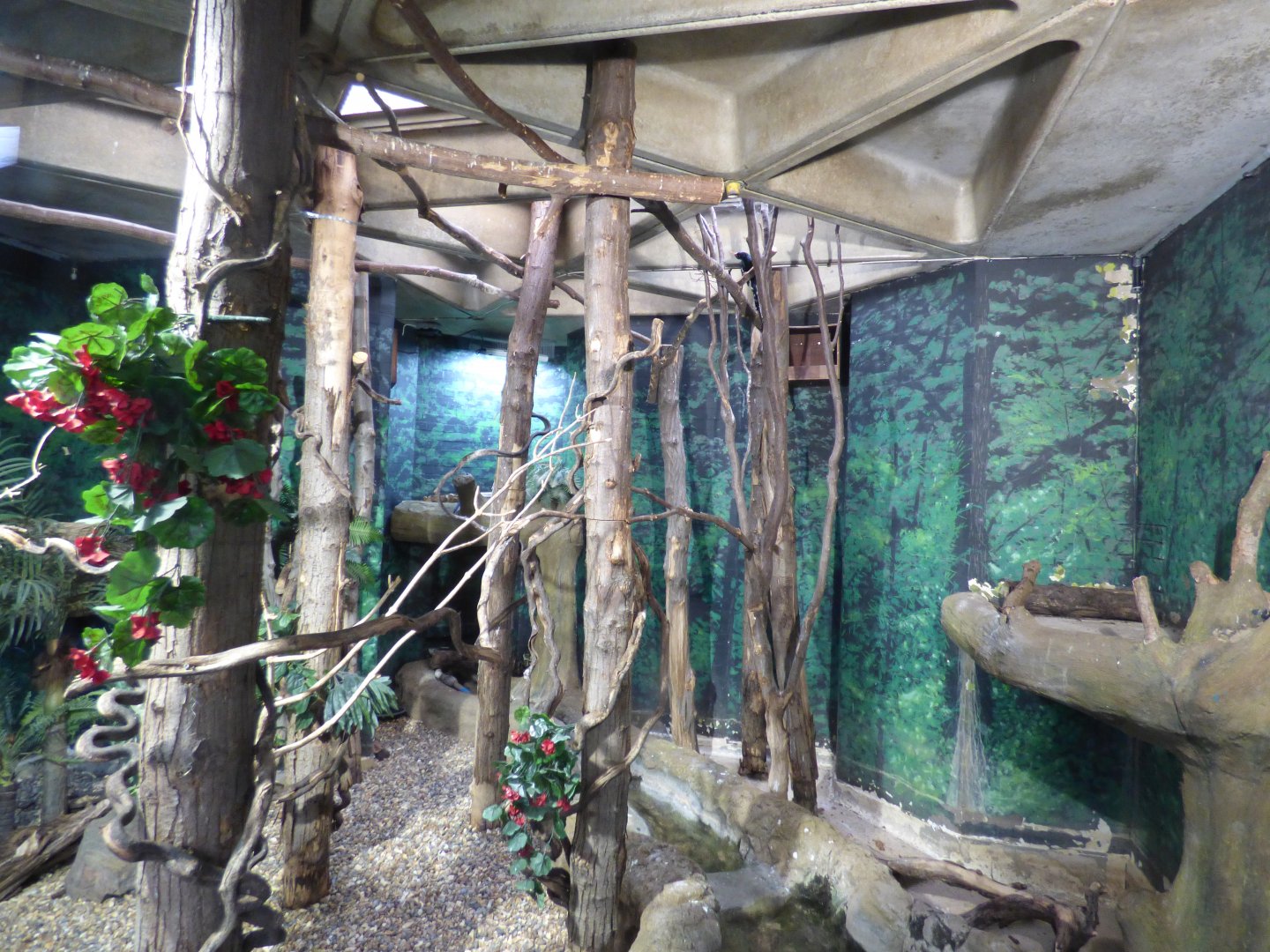 Green Wood Hoope Enclosure