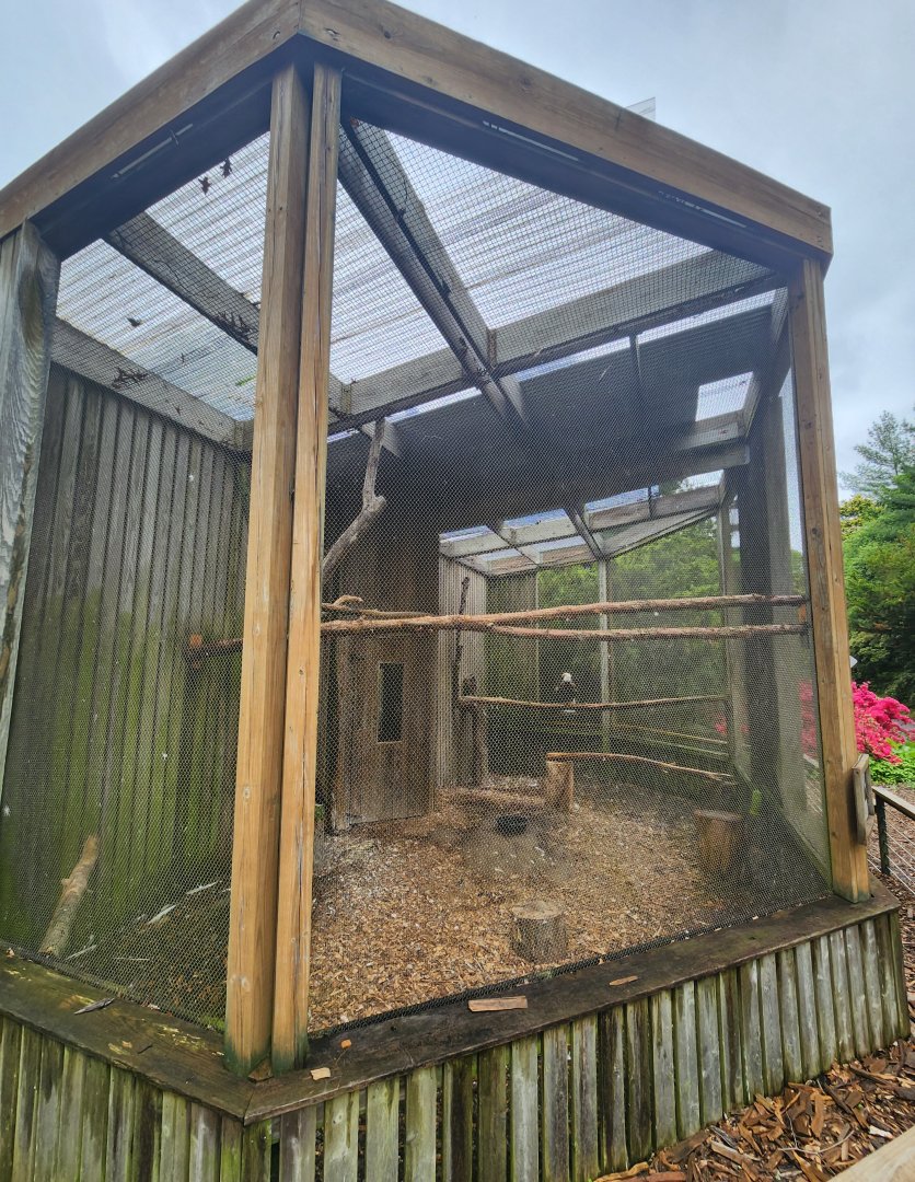 Greenburgh Nature Center (NY) - Bald Eagle enclosure