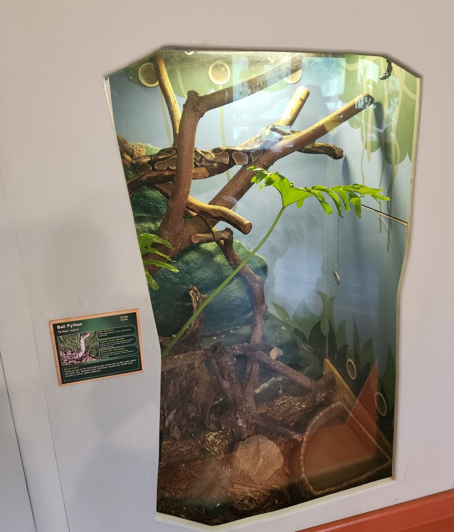 Greenburgh Nature Center (NY) - Ball Python enclosure